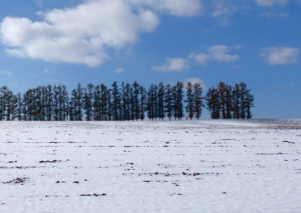 北海道